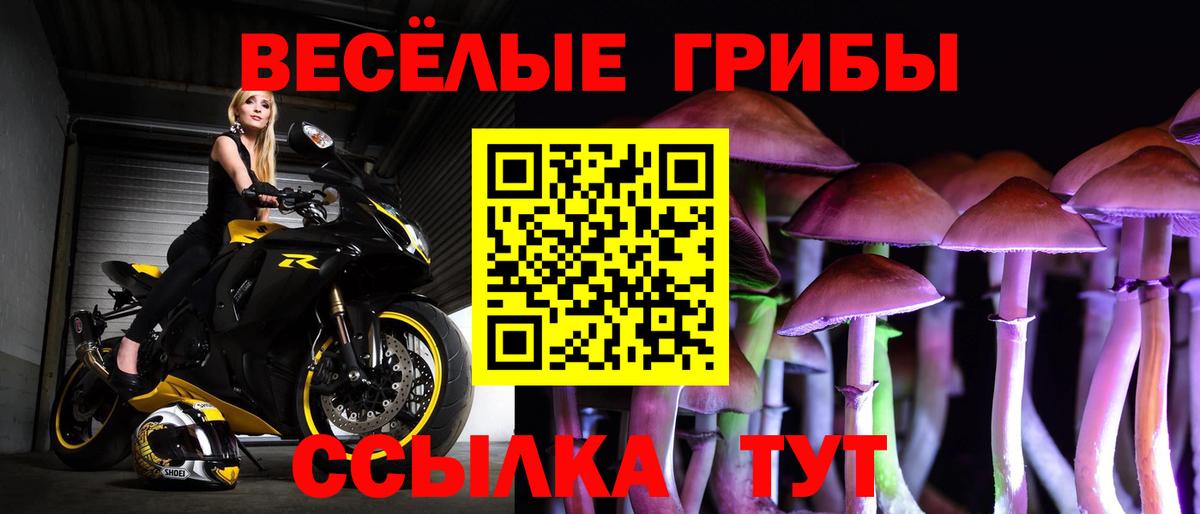 Галлюциногенные грибы Psilocybine cubensis  Вход с VPN  Феодосия 
