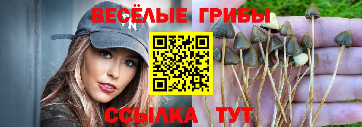Галлюциногенные грибы ЛСД Феодосия